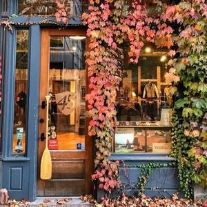 Meet your Posher, Alex